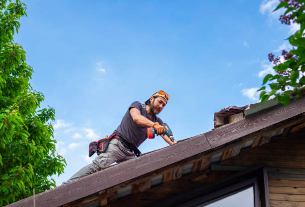 Best Solar Panel Roofing Installation  in Winters, TX